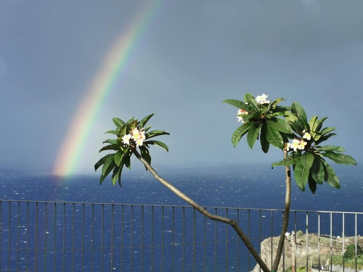 Casa Atlantico Tropischer Seitenfluegel Ribeira Brava Bagian luar foto